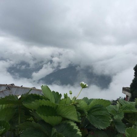 Apartamento Benus Darjeeling  Exterior foto